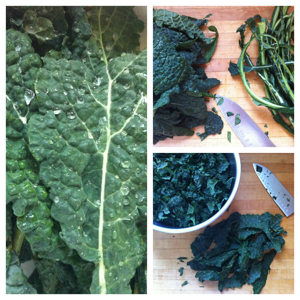 Kale Collage