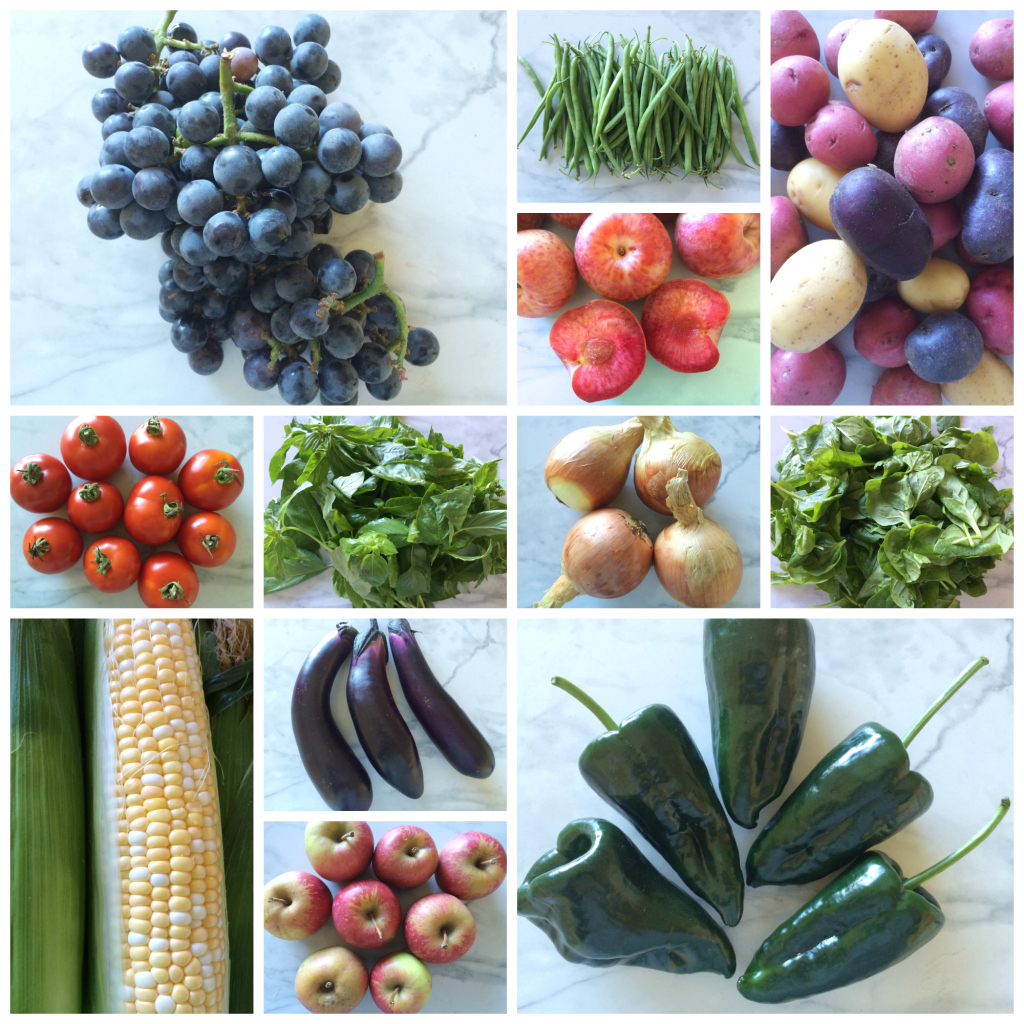 9-20-14 Farmers Market 2 Collage