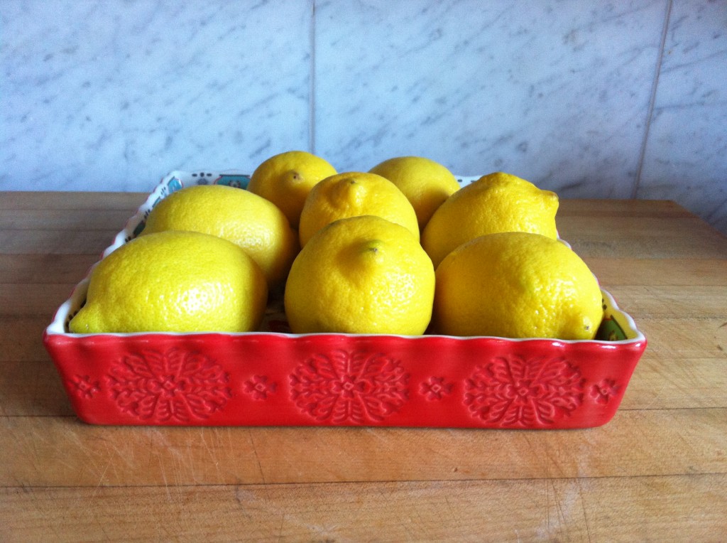 Lemons Square dish