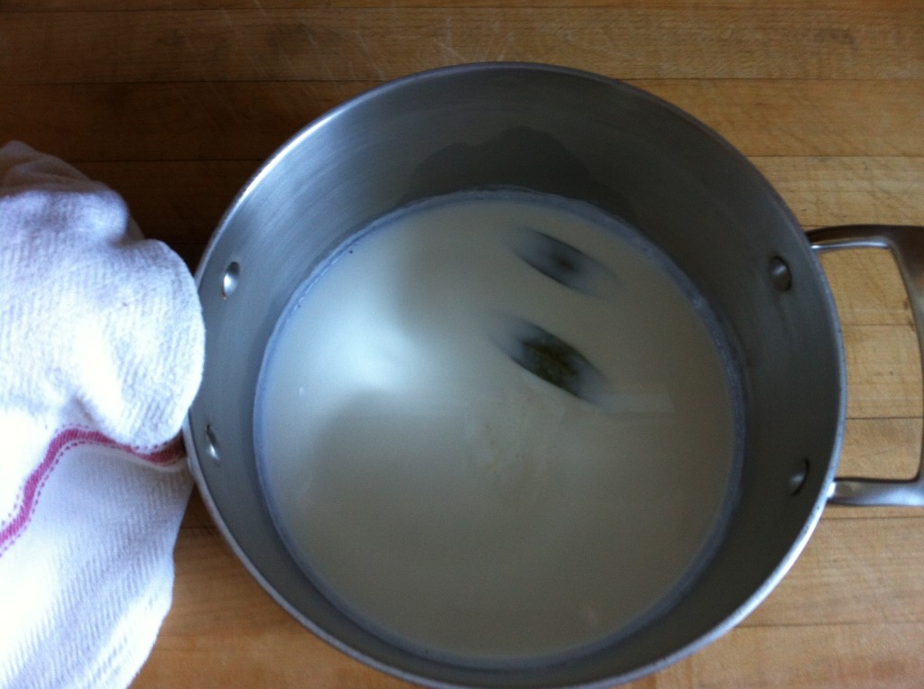 Milk Scalded with Bay Leaves