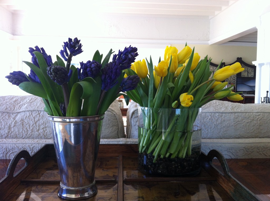 Tulips & Hyacinths