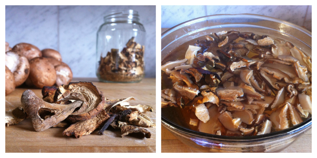 Dried Porcini Collage