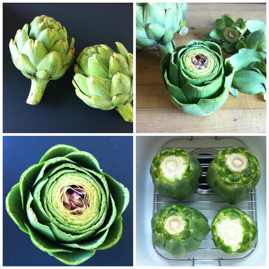 Artichoke Collage