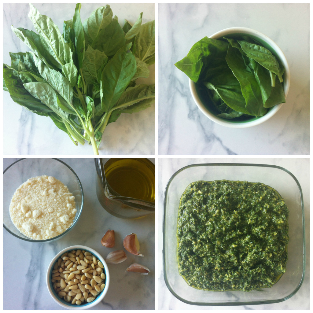 Basil Pesto Collage