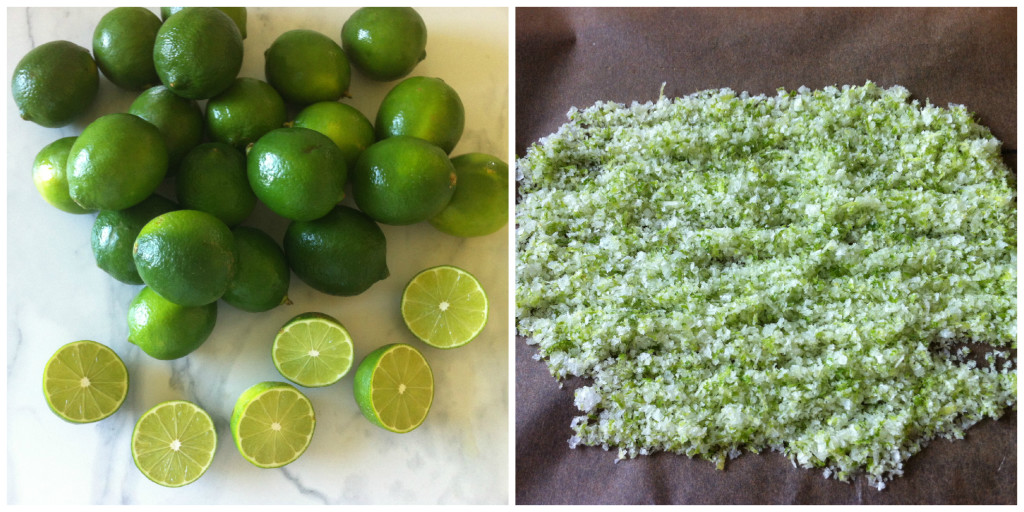 Lime Salt Collage