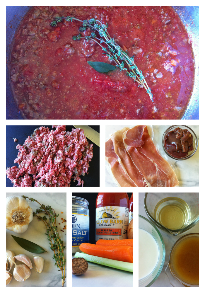 Bolognese Collage