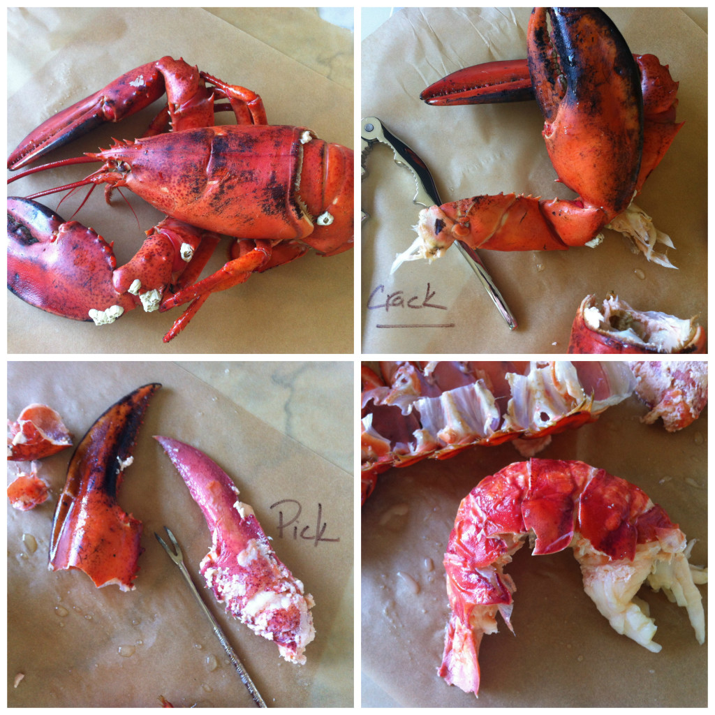 Lobster Collage