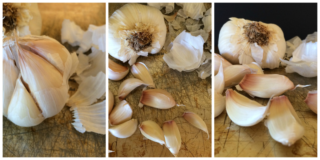 Garlic Collage