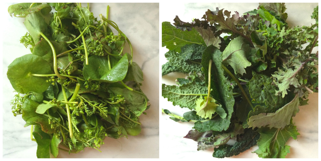 Lettuce + Kale Collage