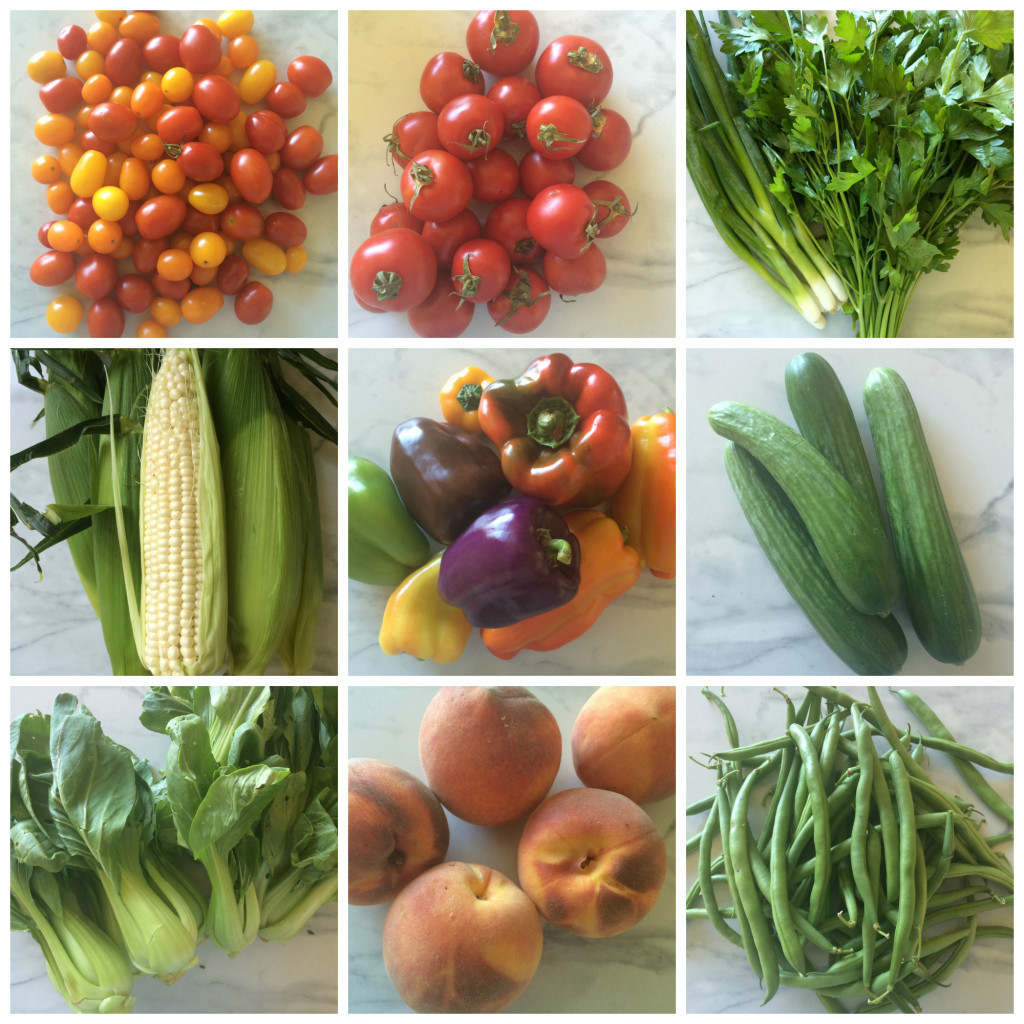 August 2nd Farmers Market Collage