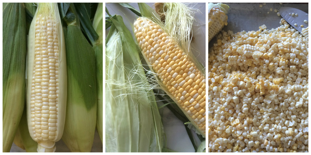 Corn 2 Collage