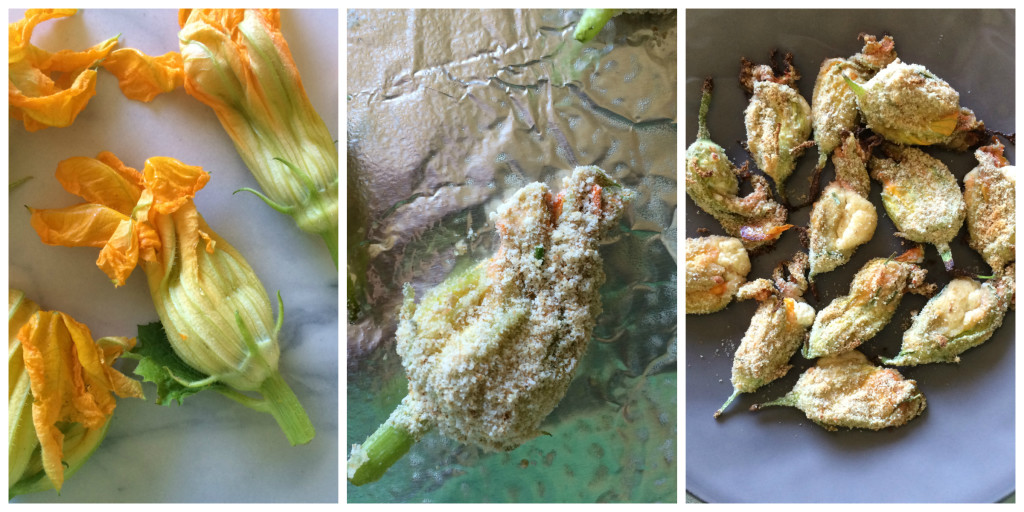 Squash Blossom Collage